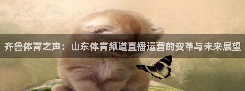 齐鲁体育之声：山东体育频道直播运营的变革与未来展望