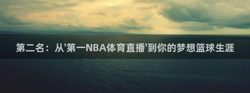 第二名：从\'第一NBA体育直播\'到你的梦想篮球生涯