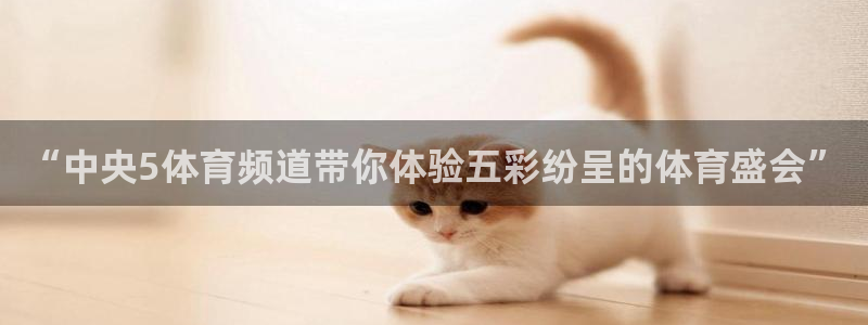 “中央5体育频道带你体验五彩纷呈的体育盛会”