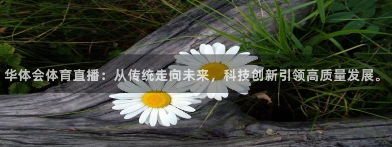 华体会体育直播：从传统走向未来，科技创新引领高质量发展。