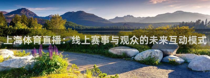 上海体育直播：线上赛事与观众的未来互动模式